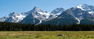 beautiful mountains with snow covered trees