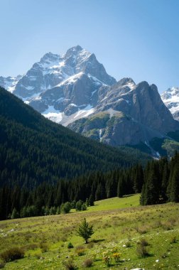 Dağların güzel manzarası
