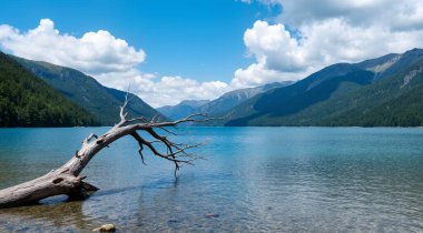 Güzel göl manzarası