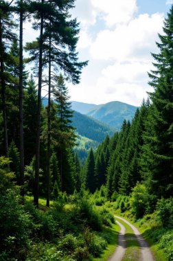 beautiful forest in the carpathians. summer landscape