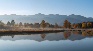Ağaçlar ve ormanlarla dolu sonbahar manzarası