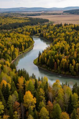 beautiful autumn forest with colorful river, trees and blue sky