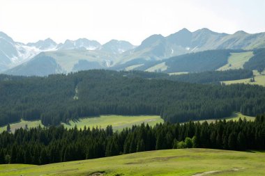 beautiful landscape with a green mountain range