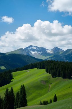 Dağ sırası olan güzel bir manzara.
