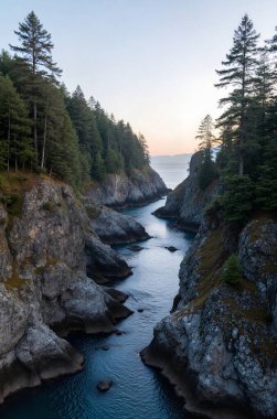 a beautiful shot of the rocky sea shore in the forest surrounded by trees and mountains in the background