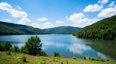 Arkasında bir göl olan güzel bir manzara.