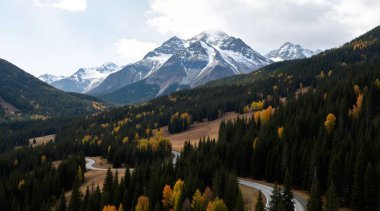 Ormandaki dağların güzel manzarası