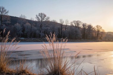 Nehir ve gölü olan güzel bir manzara.