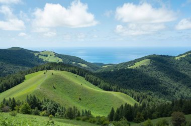 panoramic view of green grass in the mountains, azores island, portugal