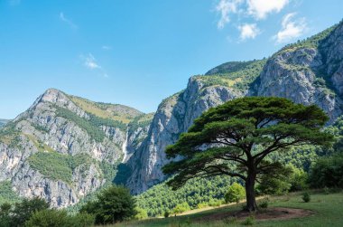 Dağların güzel manzarası