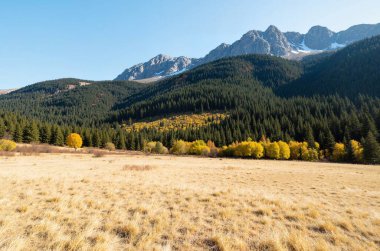 autumn landscape with yellow and orange mountains