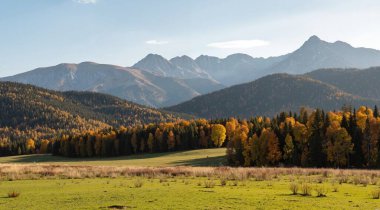 Dağlarda bir ağaçla sonbahar manzarası