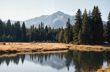 beautiful mountain lake in high tatras, tatra