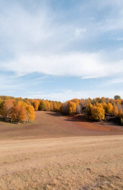 Ağaçlar ve ormanlarla dolu sonbahar manzarası