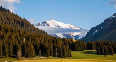Arkaplanda dağların güzel manzarası