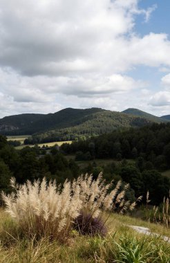 Uzaktaki tepeler ve ağaçlarla çevrili eski bir yolun dikey görüntüsü.