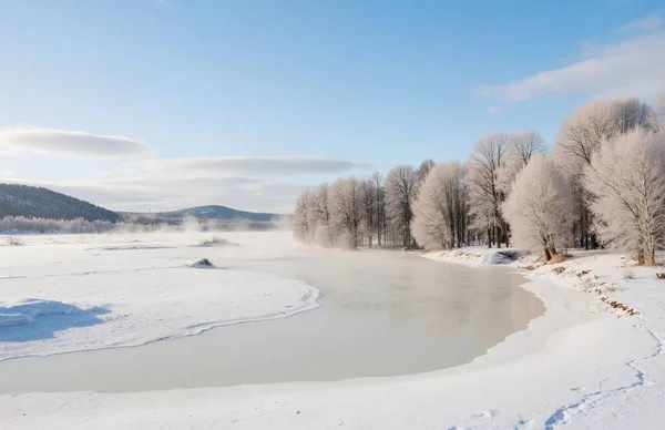 Ormandaki donmuş kış gölü