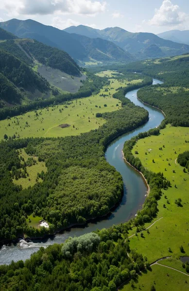 Nehir ve ormanlı güzel bir manzara.