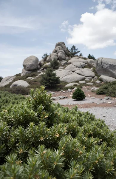 Dağların güzel manzarası