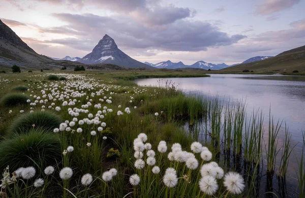 Dağlardaki güzel göl manzarası