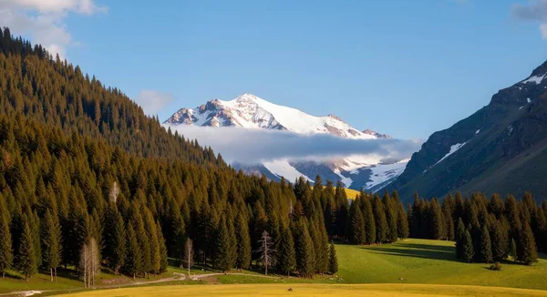 Arkaplanda dağların güzel manzarası