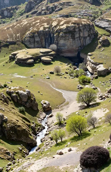 Açık gökyüzünün altındaki yeşil bir ormanın ortasındaki bir vadide kayaların yüksek açılı görüntüsü.