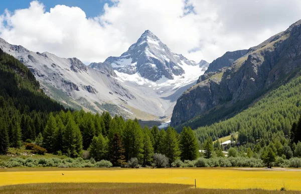 Dağların güzel manzarası