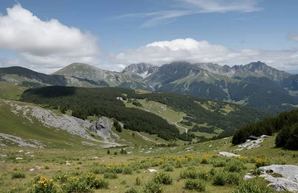 Şaşırtıcı rengarenk dağ arkaplanlı muhteşem manzara, yaz rila dağı