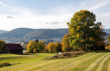 Renkli ağaçlar ve dağlarla dolu güzel sonbahar manzarası