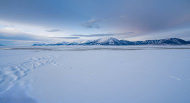 Güzel kış manzarası. Arkasında karla kaplı dağlar.