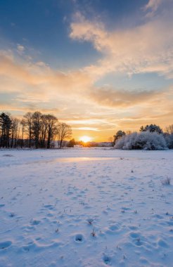 Kar ve ağaçlarla kaplı kış manzarası