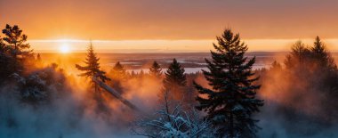 Karla kaplı ağaçları olan güzel bir manzara.