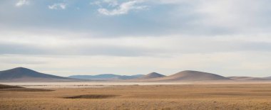 İsrail 'in kuzeyindeki Negev Çölü' nün güzel manzarası