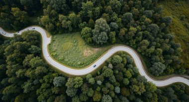 Ormandan geçen dolambaçlı yolun hava görüntüsü.
