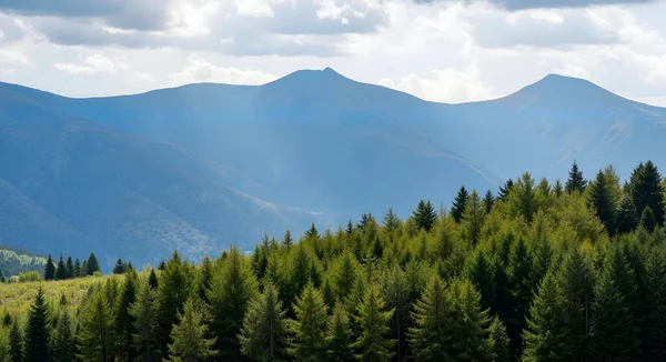 Yeşil çimenler ve ağaçlarla kaplı güzel bir dağ manzarası