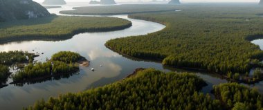 Ormanda yeşilliklerle çevrili güzel bir göl manzarası.