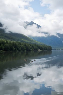 Arkasında dağlar olan güzel bir göl manzarası.