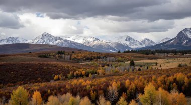 Renkli ağaçlarla dolu sonbahar dağ manzarası