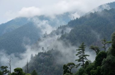 Arkasında bir dağ olan güzel bir manzara.