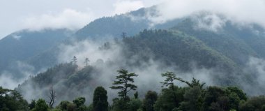 Dağlı ve sisli dağ manzarası