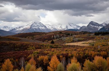Colorado dağlarının sonbahar renkleri