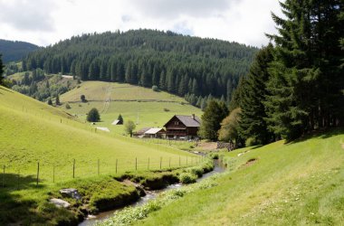 Karpat Dağları 'ndaki güzel yaz manzarası. ukraine.