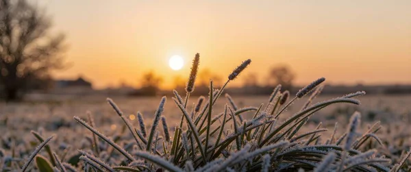 Kar tarlası olan kış manzarası