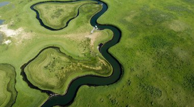 Ormandaki nehrin havadan görünüşü