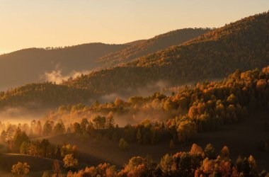 Dağlarda sonbahar ormanı.