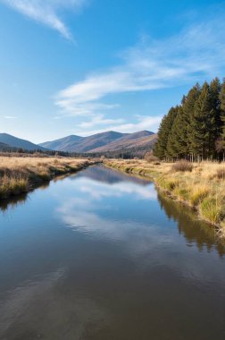 Nehir ve ormanlı sonbahar manzarası