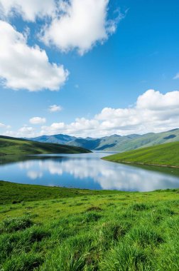 Bir gölü ve dağı olan güzel bir manzara.