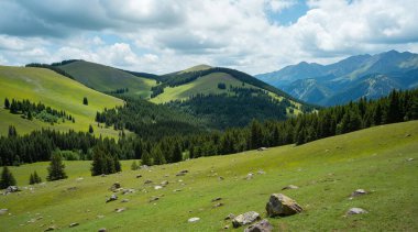 Yeşil ormanlı dağ manzarası