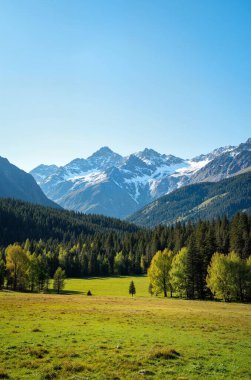 Alplerinde dağ sıraları olan güzel bir manzara.
