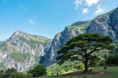 Doğanın güzel manzarası